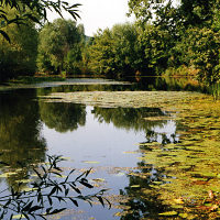 PR Skařiny